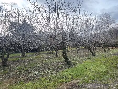 terrain 583 m² sauveterre