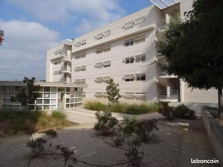 studio 1 pièce 20 m²