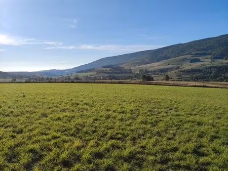 cherche terrain en location vente