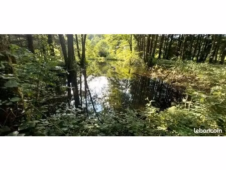 terrain 3 045 m² saint bresson