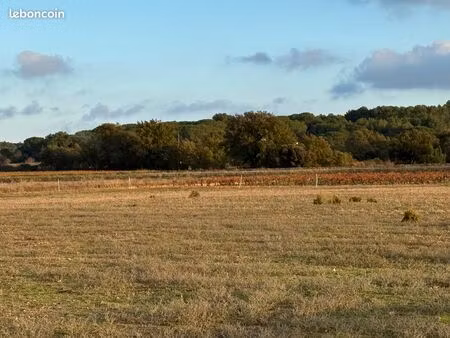 vente terrain agricole
