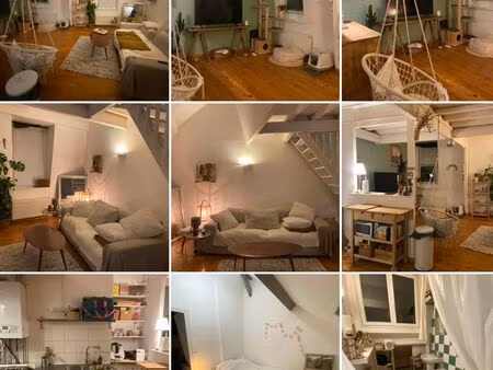 location duplex 1 chambre la madeleine