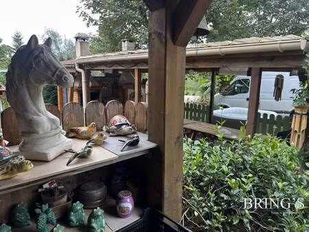 nicole duclos perino