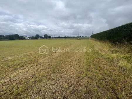 thibault perchey bsk immobilier