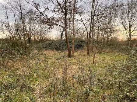 terrain 2200 m² savennieres