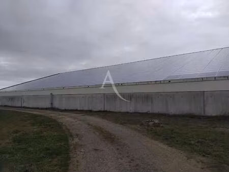 location bureaux et commerces à terranjou (49380) : à louer / 1440m² terranjou