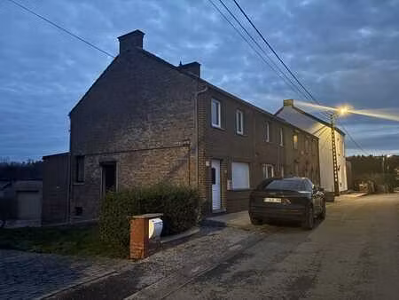 maison rénovée avec garage et jardin non attenant