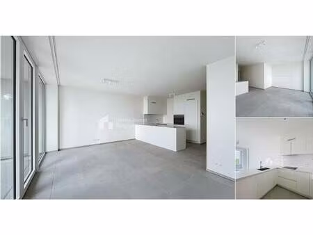 appartement à louer à rue du nieuwmolen 11 anderlecht (vbd75020)
