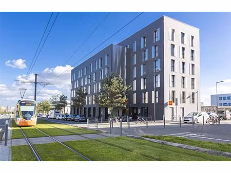 investissement en residence étudiante