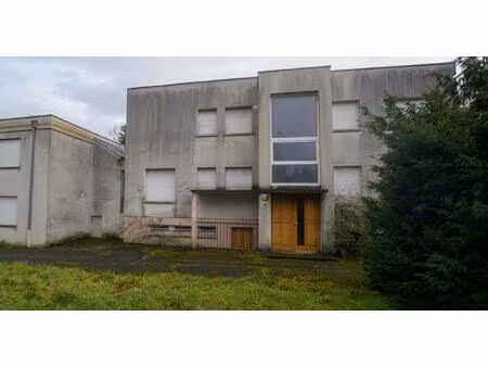 immeuble - 395 m² - guebwiller (68)