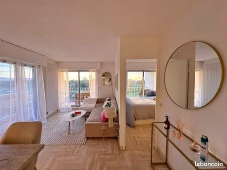 appartement 2 pièces cannes marina