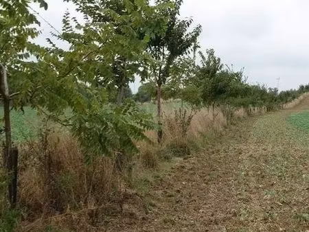 location terre agricole