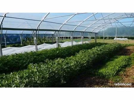 terrain maraîchage tout equipé