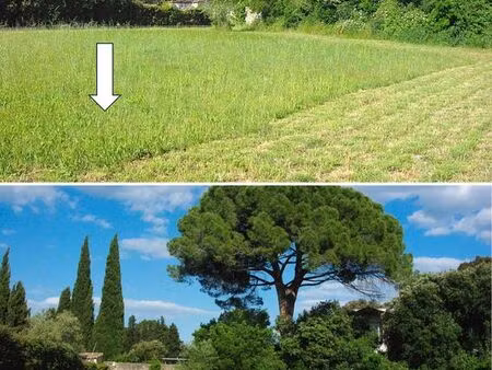 terrain a batir st bauzille de la sylve