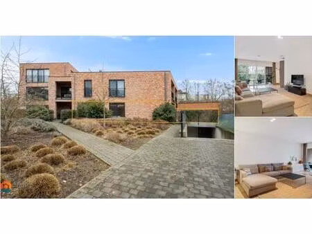 appartement à louer à bakelaarstraat 44 malines (rbv05674)