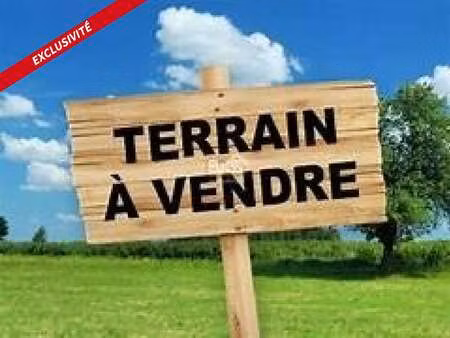vente terrain à bouin (85230) : à vendre / 2495m² bouin
