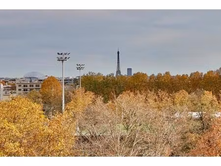 appartement lumineux avec vue  puteaux