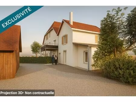 maison mitoyenne à rénover 4 pièces 78 m2 + chalet 42 m2 avec 482 m2 de terrain.