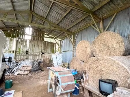 maison à rénover avec 1 hectare de terrain