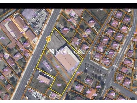 milan petrovic saraidarian