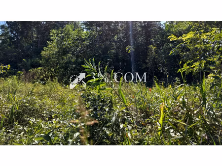 a vendre non loin du bourg de tonnegrande une parcelle agri
