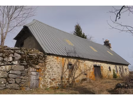 achat maison 2 pièces 45m² malbo 15230