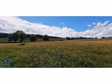 terrain à vendre - saint-martin-d'estréaux (42) - 9 000€