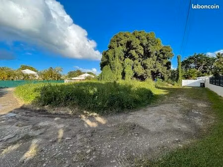 terrain 643 m² baie mahault