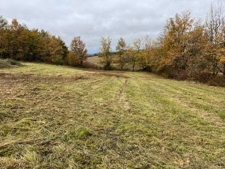 vente terrain 1800 m² béraut (32100)