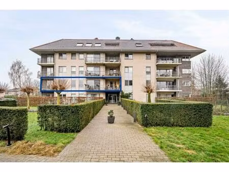 appartement te koop in lokeren