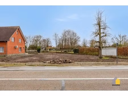 neeroeteren: bouwgrond van 8 a 40 ca voor open bebouwing.