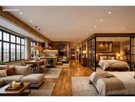 centre saint-louis plateau de 280 m2