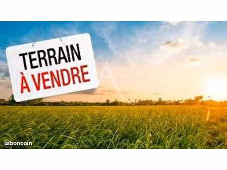 terrain constructible - 1000 m2