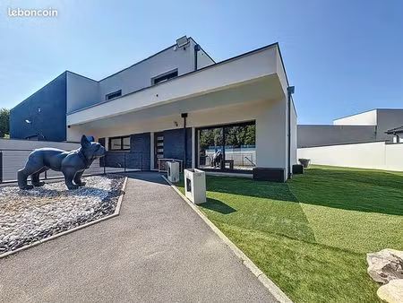 maison 6 pièces 150 m²