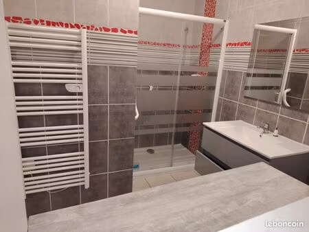 appartement 45m² rdc centre ville