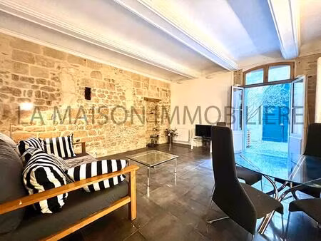 ecusson - hôtel particulier - 3 p - 83 m2 - charme ancien - calme sur cour securisée -...