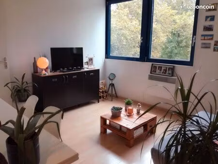 appt f2 à louer vieux lille