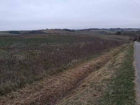 vente terrain  6000.00m²  le faget