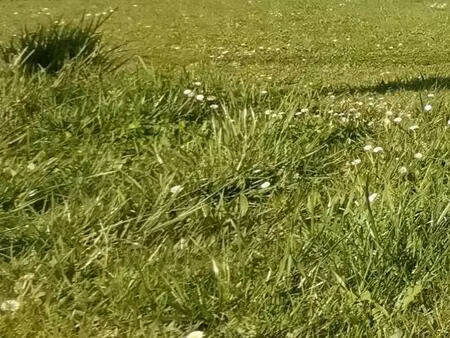 terrain à bâtir à périgueux (24000)