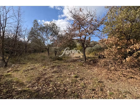 annonce terrain à vendre