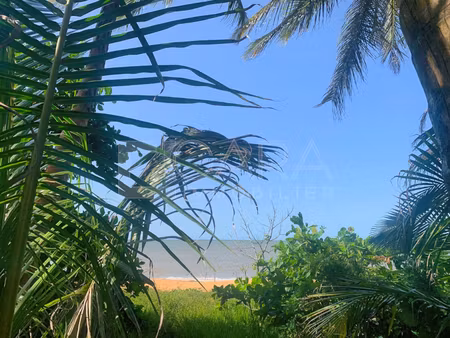 achat terrain 2 417m² cayenne 97300