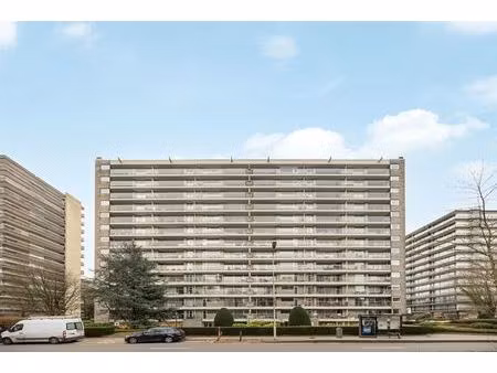 appartement te koop in berchem met 3 slaapkamers