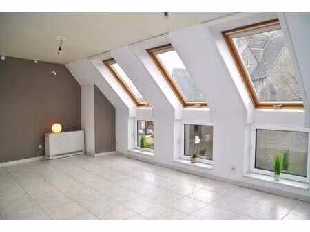 lichtrijk  heel gezellig appartement met één slaapkamer en garage!