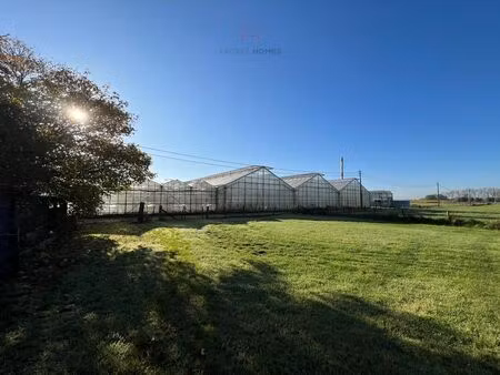 ca.5.000 m2 serres met loods - bestemd voor agrarische doeleinden.