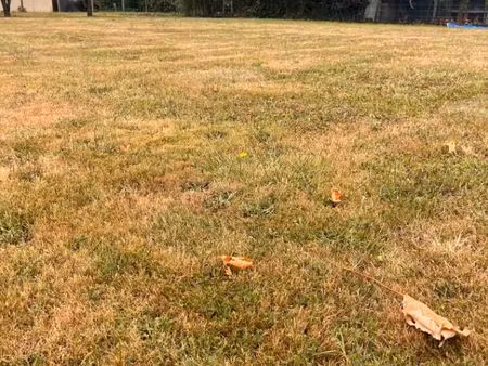 vente terrain 708 m² créon (33670)