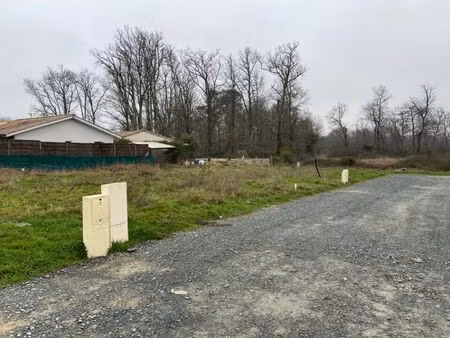 vente terrain 323 m² les billaux (33500)