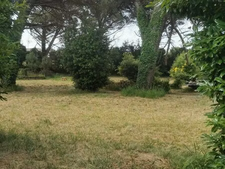 vente terrain 1030 m² saint-maixant (33490)