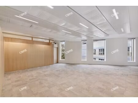 location local professionnel 417m²