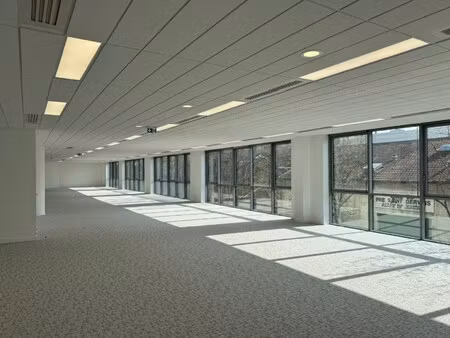 location local professionnel 434m²