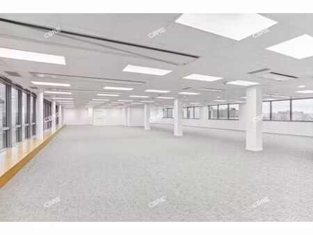 location local professionnel 502m²